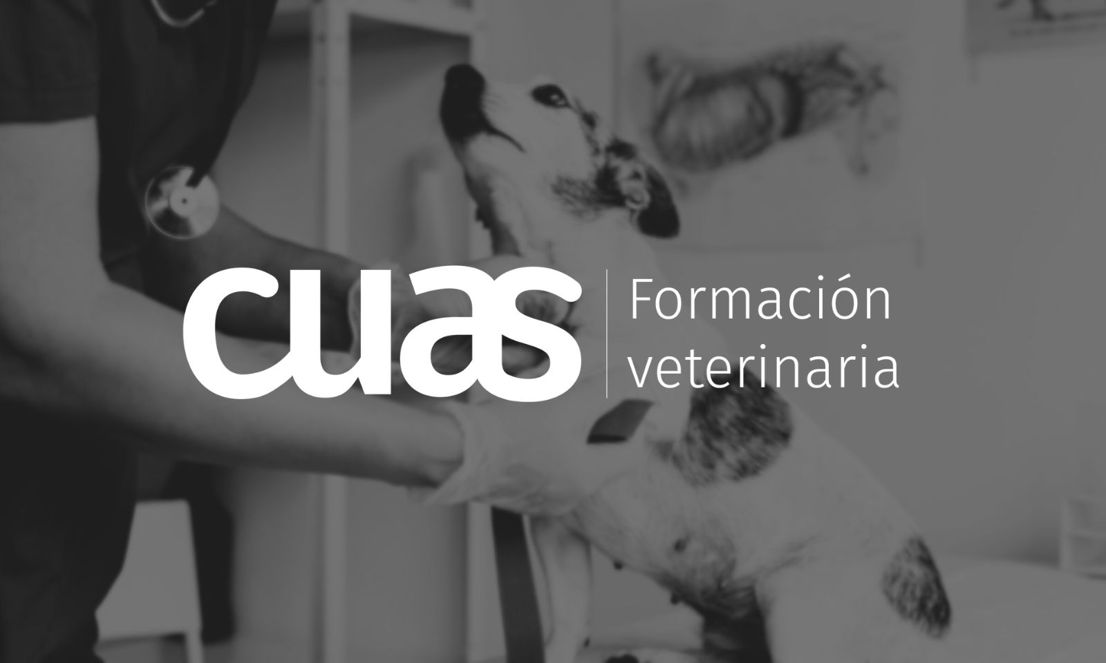 CUAS Veterinaria